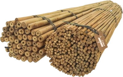 DIXIE STORE Bambusstäbe - Bambusstangen Set Blumenstützen - Robuste Pflanzenstäben aus Bambus 120 cm