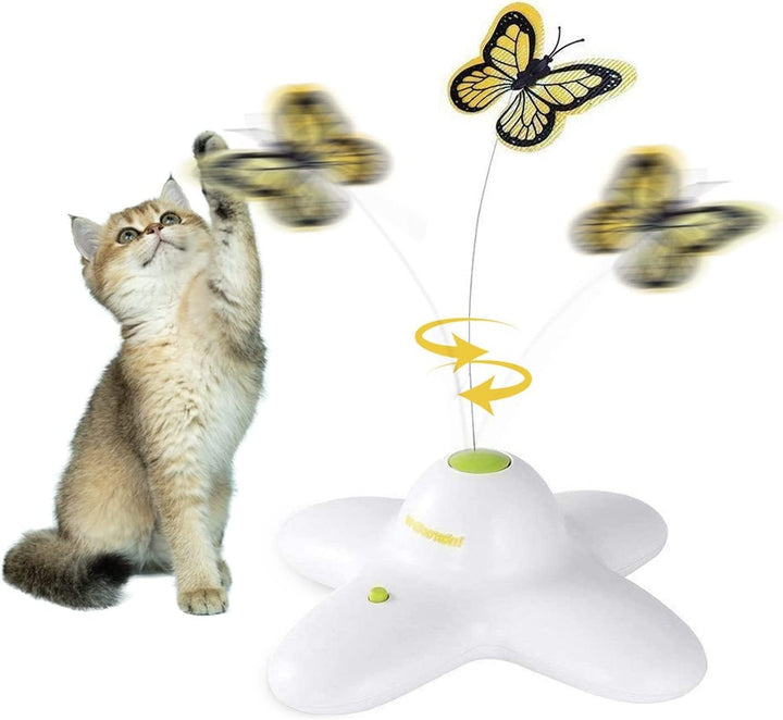 ALL FOR PAWS Interaktives Katzenspielzeug für den Innenbereich, mit 360 ° drehbarem Schmetterling, S