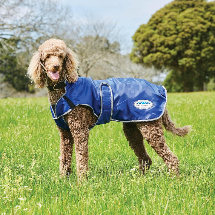 WeatherBeeta Hundemantel ComFiTec Windbreaker Free - 75 cm - Dunkelblau-Silber 30" Dunkelblau/grau/w
