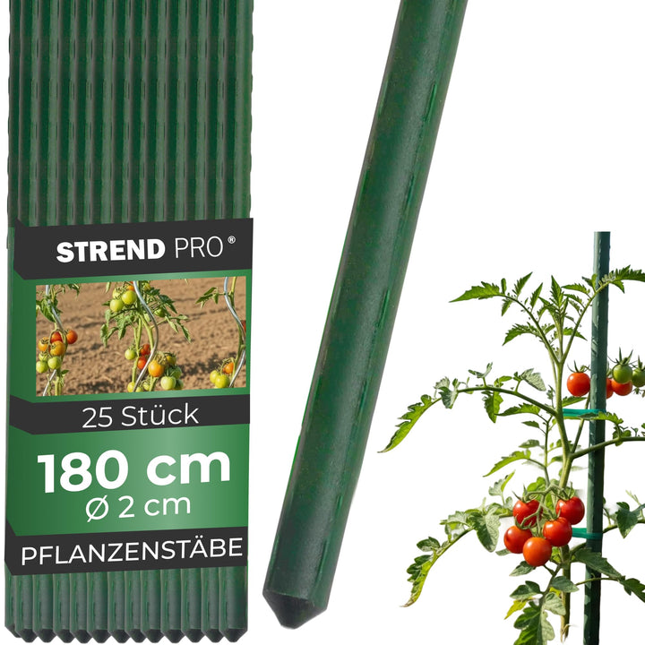 STREND PRO Pflanzstäbe 180 cm - 25 STK. Set | Ø 20 mm Stahl + Kunststoff | Rankstab Grün | Tomaten &
