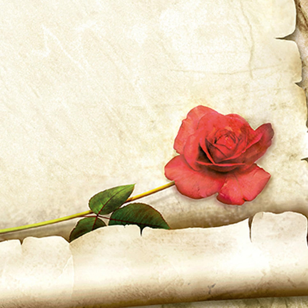 TATMOTIVE ROTE ROSE Briefpapier Set für Liebesbriefe (25 Sets) A4 Papier beidseitig + Umschläge Lieb