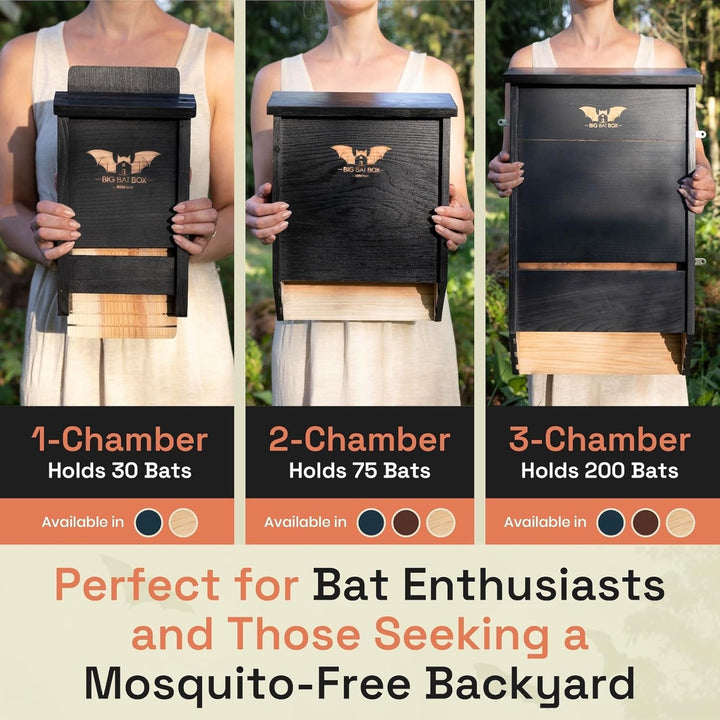 Big Bat Box Fledermaushaus aus Zedernholz, 2 Kammer braun Zweikammer