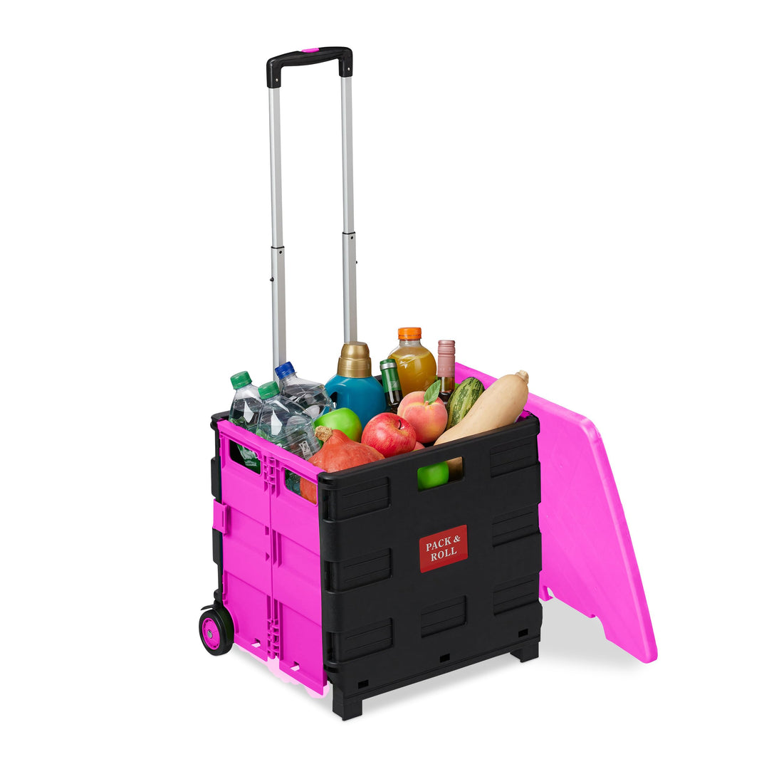 Relaxdays Einkaufstrolley, Klapptrolley mit Rollen & Deckel, Teleskopgriff, bis 35 kg, Faltbarer Tro