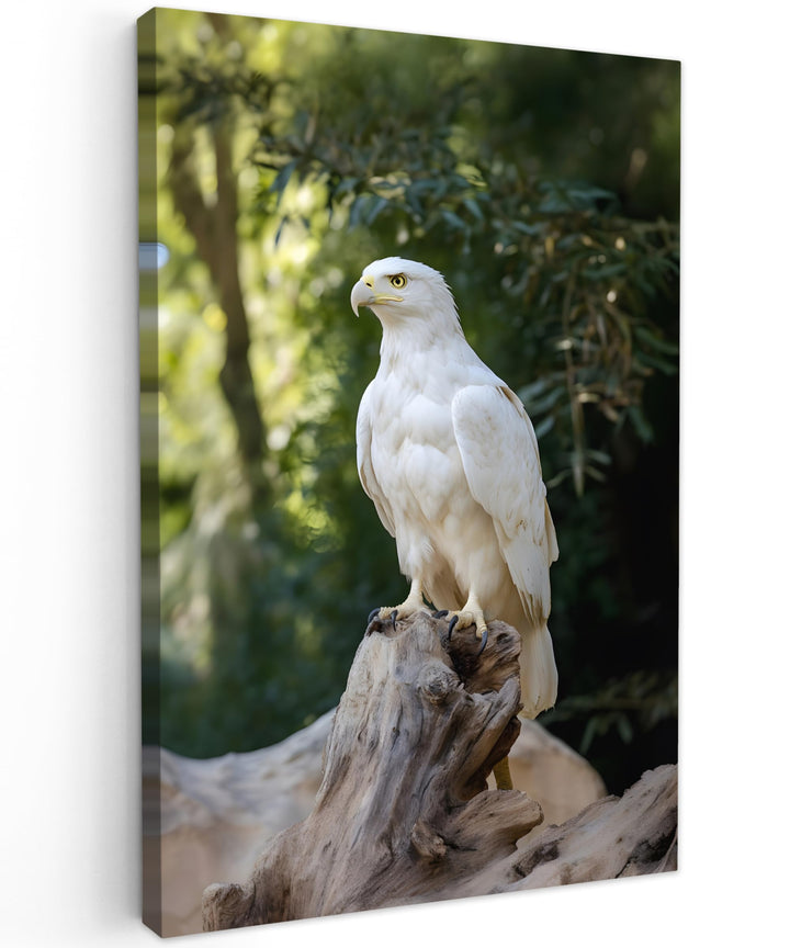 MuchoWow© Leinwand Bilder 60x90 cm Wanddeko Wohnzimmer Aesthetic Room Decor Deko Zimmer Wandbilder M