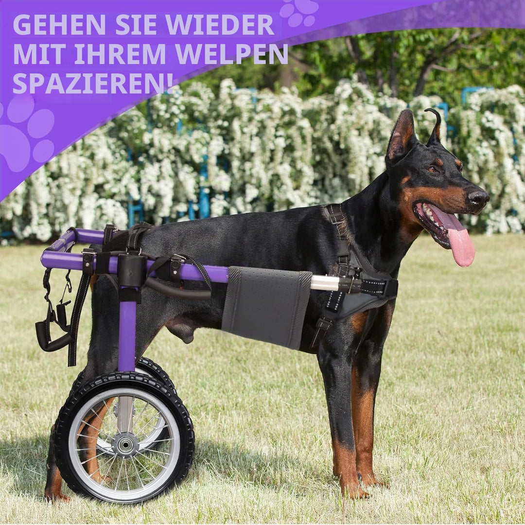Hunderollstuhl für Hinterbeine - Hunderollstuhl, L