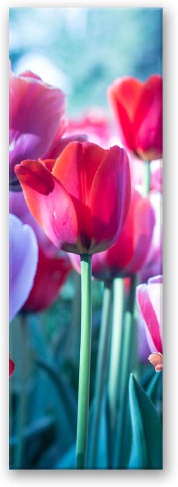 Leinwandbild XXL Tulpen Wandbild Kunst Garten Rot 60x150 cm Leinwandbild 60x150 cm Rot_a, Leinwandbi