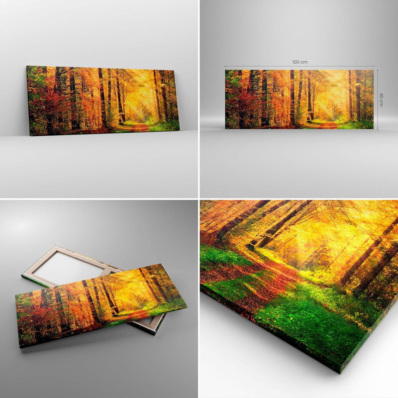 Panorama Bilder auf Leinwand 100x40cm Leinwandbild mit Rahmen Wald Baum Natur Gross Wanddeko Bild Sc