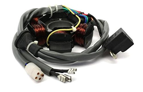 Lichtmaschine Anker Strator TPH NRG Zip Sfera Quartz Free, Gilera Runner Stalker