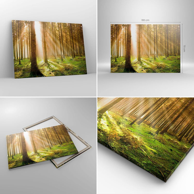 Bilder auf Leinwand 100x70cm Leinwandbild mit Rahmen Bäume Sonne Natur Gross Wanddeko Bild Schlafzim