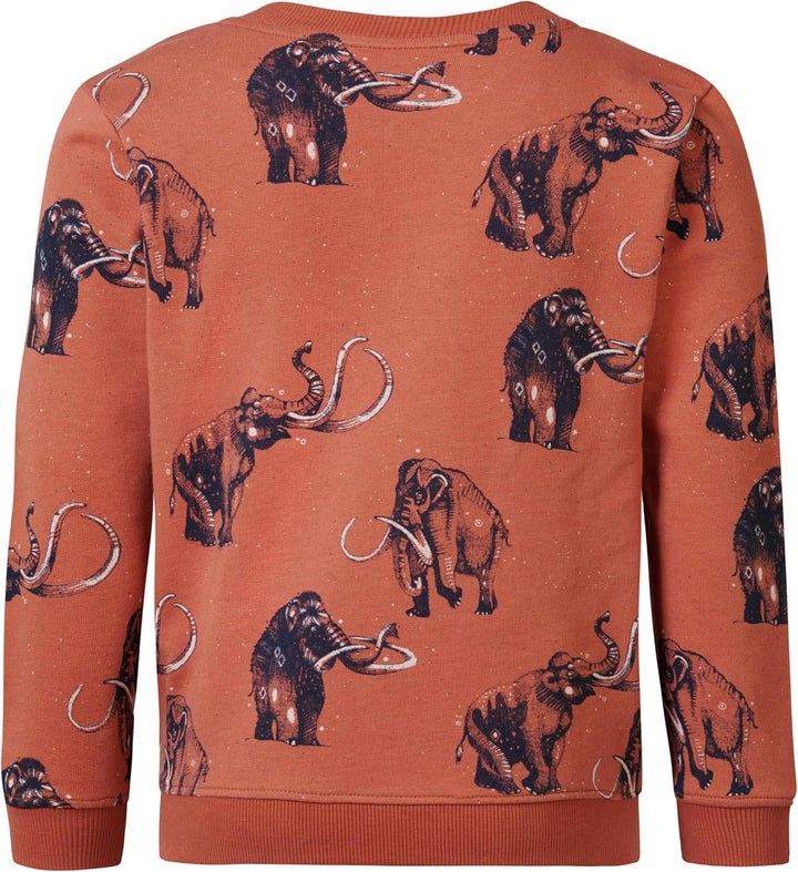 Noppies Jungen Boys Sweater Westchase Long Sleeve Allover Print Pullover, 110