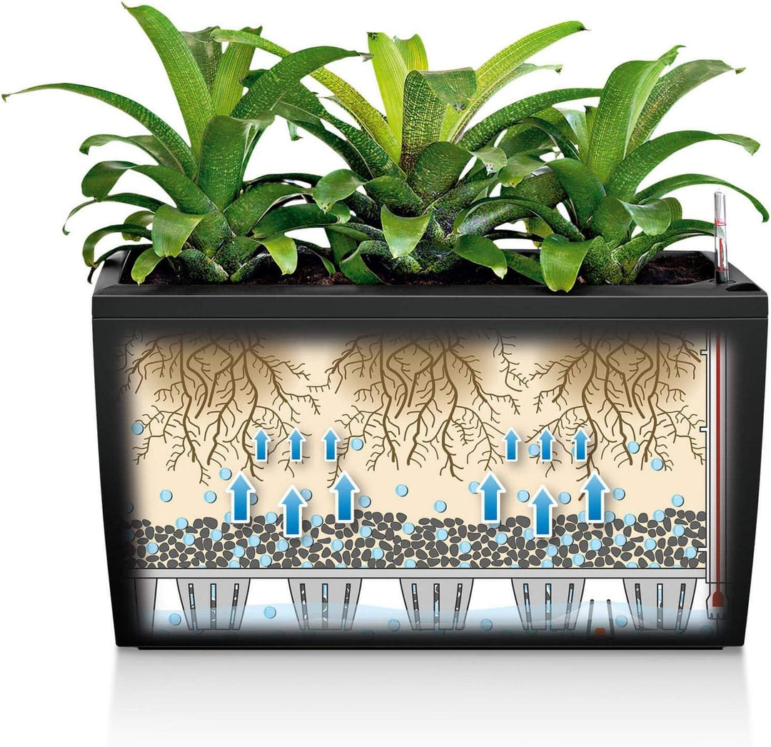 LECHUZA CARARO Premium weiss hochglanz 18800 Weiss Hochglanz Premium, Weiss Hochglanz Premium