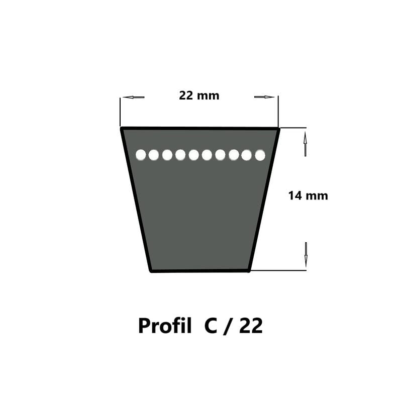 SWR Keilriemen C124-22 x 3150 Li, klassisch