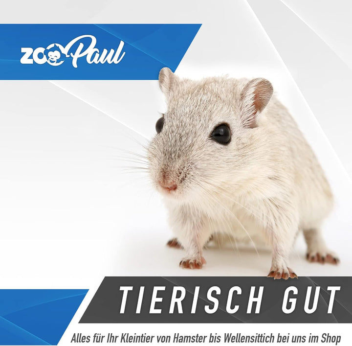 ZooPaul Premium Nagerkäfig Kleintiere schwarz inkl. Zubehör aus Holz 60x36x54 cm Maus Hamsterkäfig