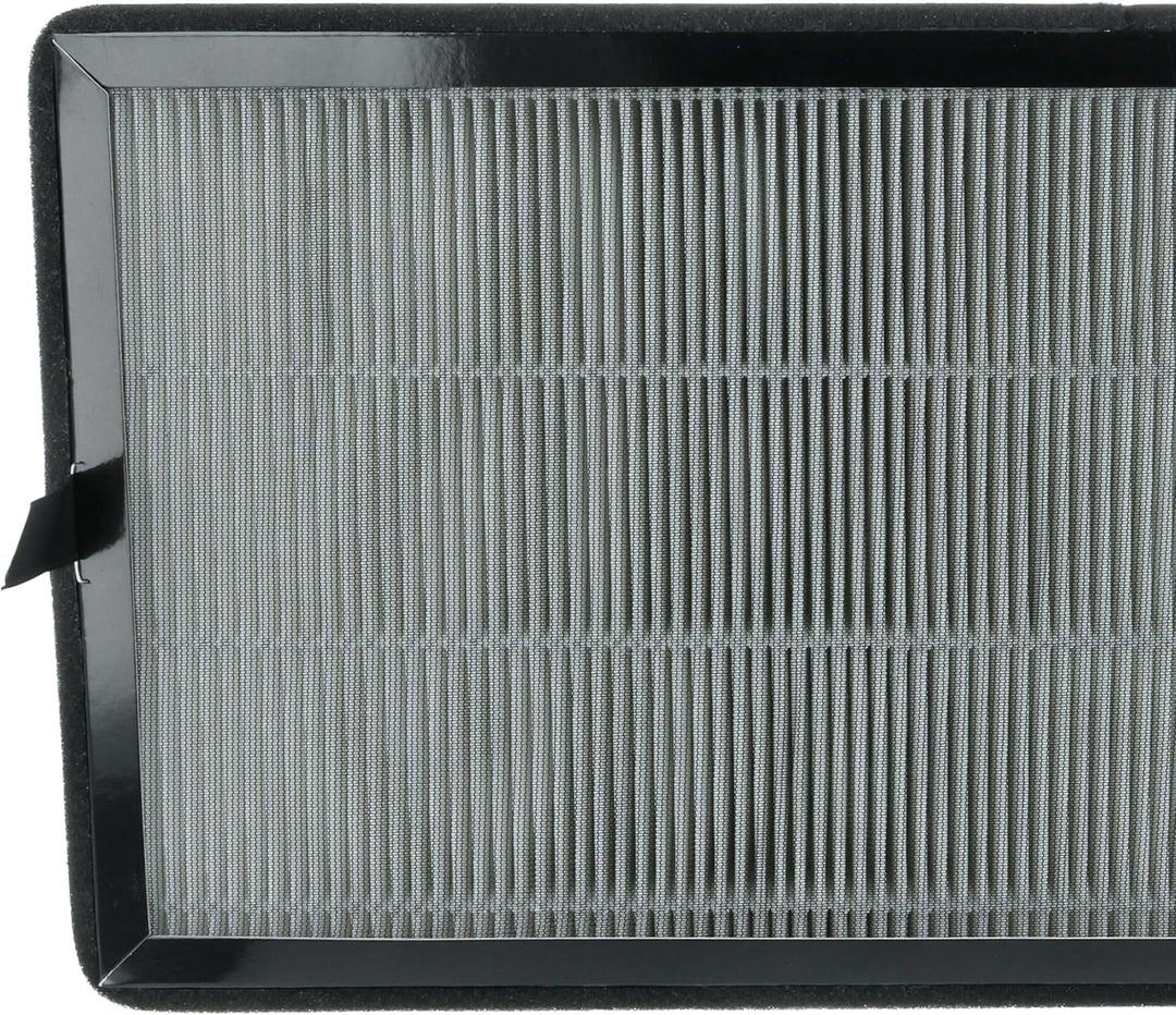 vhbw 2x Aktivkohlefilter kompatibel mit Kärcher AF 30 Luftreiniger - HEPA 13 Luftfilter Schwarz