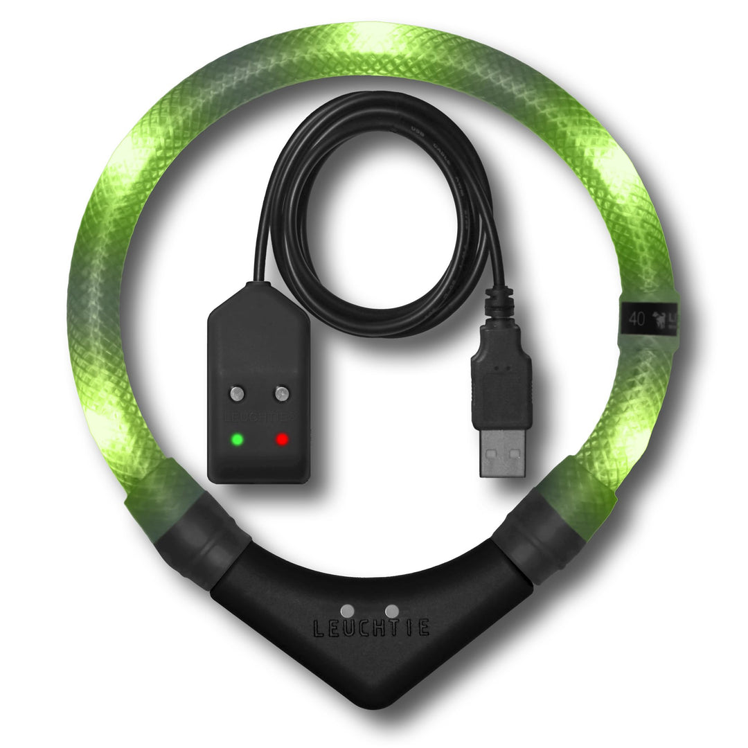 LEUCHTIE® Easy Charge Leuchthalsband Hund aufladbar, wasserdichtes LED Halsband, Leuchtband für Hund