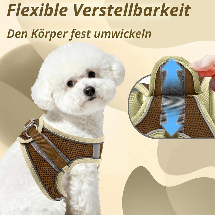 AIITLE No Pull Hundegeschirr, Step in einstellbares Hundegeschirr mit gepolsterter Weste, Hundeleine