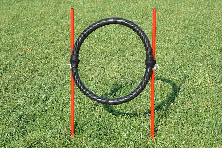 Agility-ÜBUNGS-ANFÄNGER-Set MIT SPRUNGRING/Slalom/HÜRDEN IN ROT/BLAU