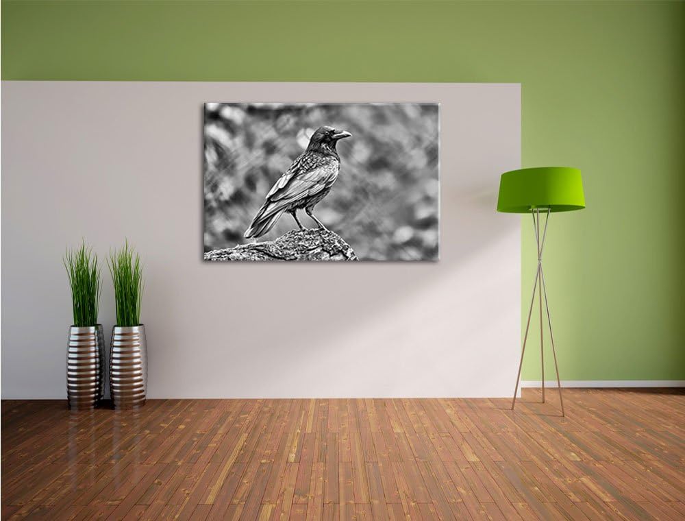 Pixxprint Monocrome, Krähe auf Baumstamm, Format: 100x70 auf Leinwand, 100x70