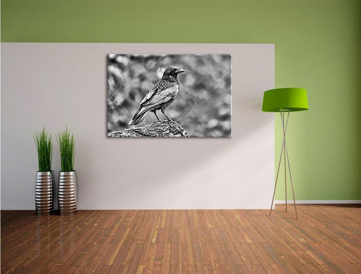 Pixxprint Monocrome, Krähe auf Baumstamm, Format: 100x70 auf Leinwand, 100x70