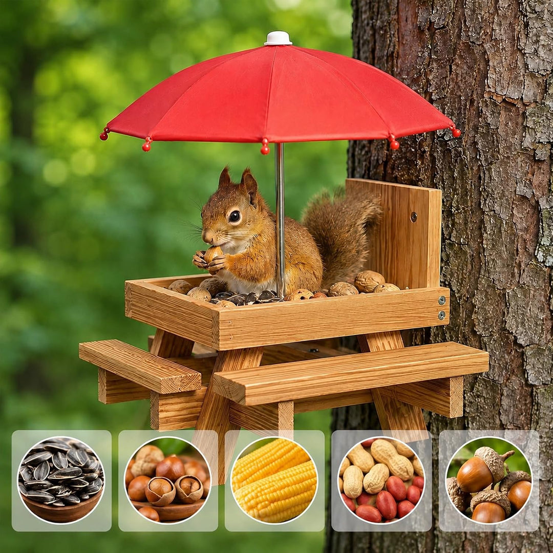 Eichhörnchen Futterhaus Wetterfest, Eichhörnchen Futterstation | Holzhaus Eichhörnchenhaus mit Regen