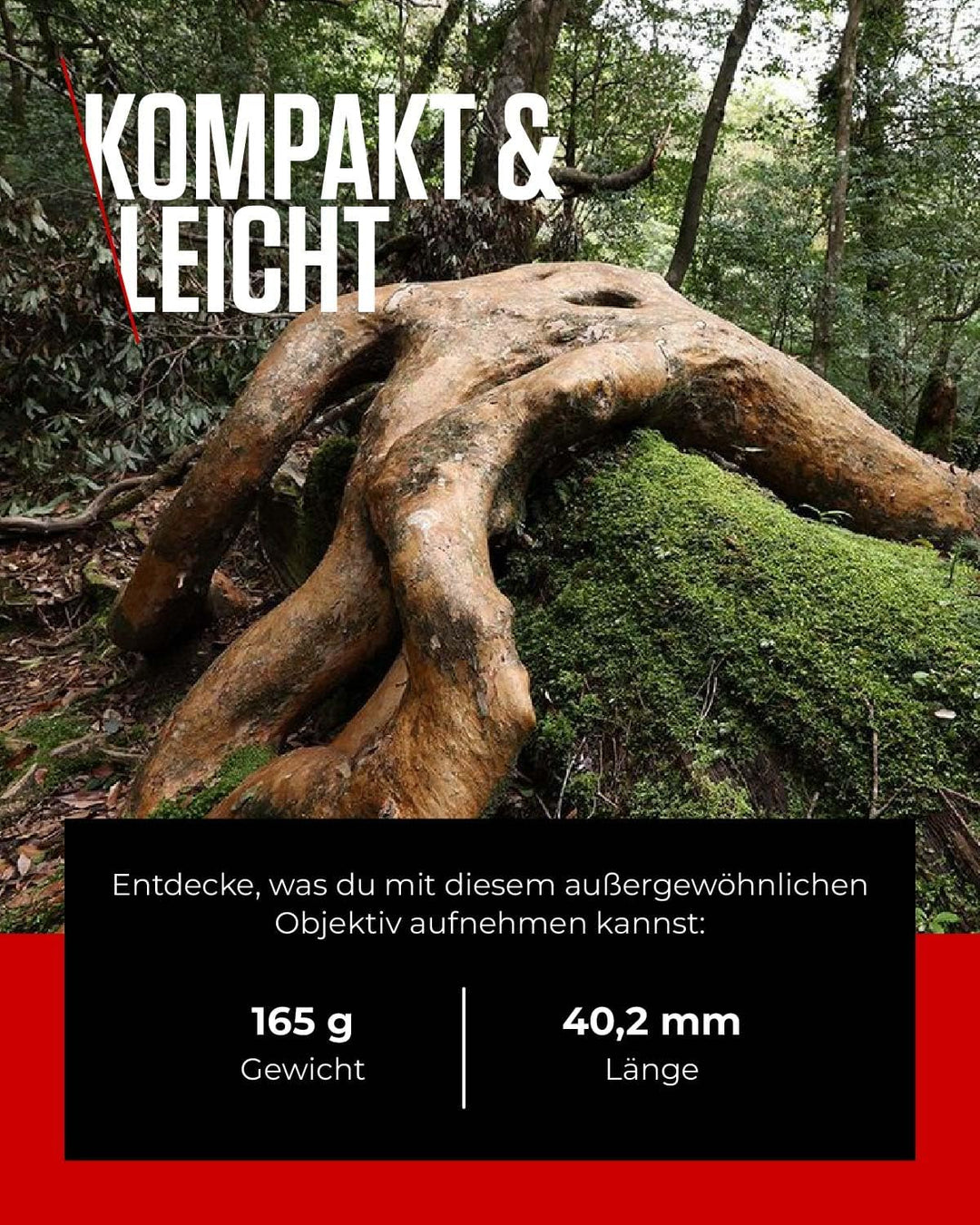 Canon Objektiv RF 14-35mm F4 L is USM Makroobjektiv (2,5 x Zoom, Nano USM AF, Ultra Weitwinkel, 5 St