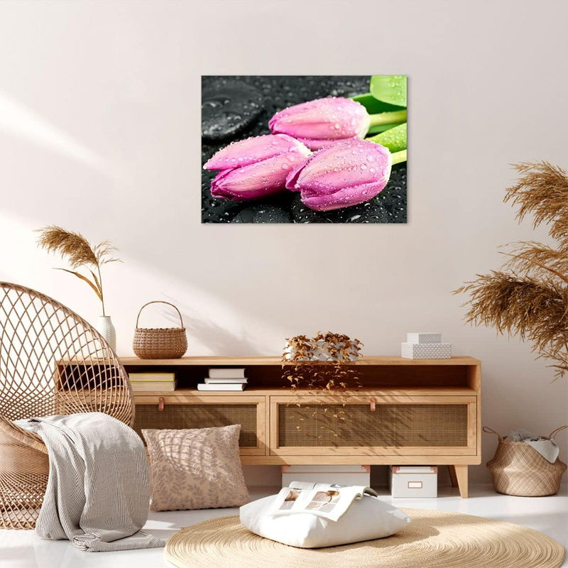 Bilder auf Leinwand Tulpen Tau Steine Pflanze Leinwandbild 70x50cm Wandbilder Dekoration Wohnzimmer