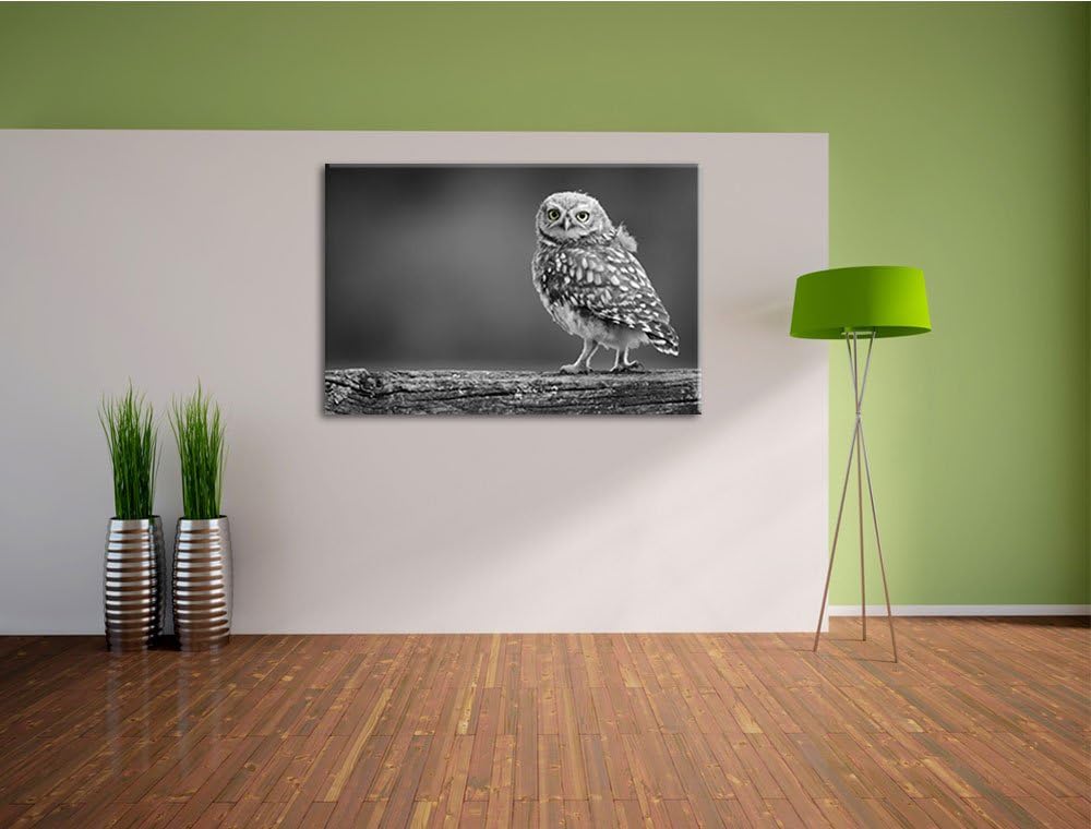 süsse Eule auf Ast schwarz/weiss Format: 100x70 auf Leinwand, XXL riesige Bilder fertig gerahmt mit