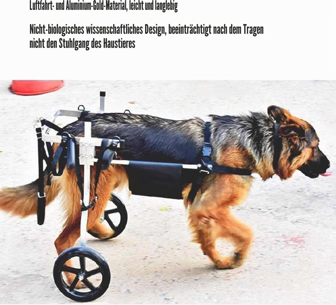 Rmeet Mittlerer und grosser Hunderollstuhl, Rehabilitationshilfe, Hinterbeinstütze, Hundewagen mit R