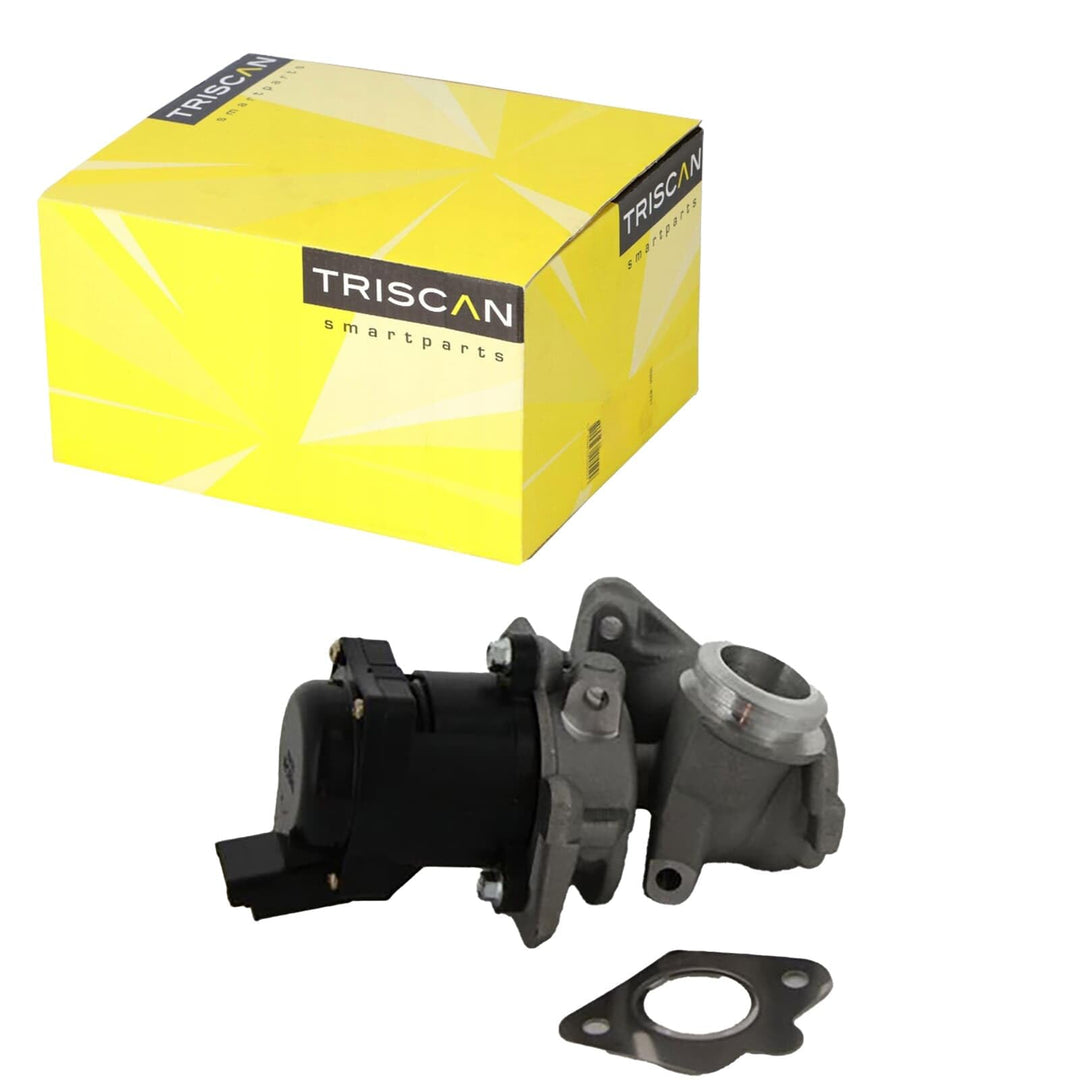 TRISCAN 8813 10010 AGR-Ventile