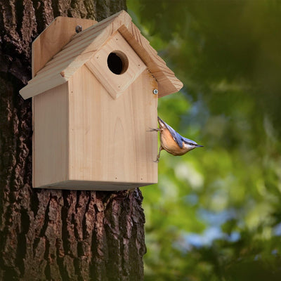 Relaxdays Nistkasten für Vögel & Halbhöhle Nistkasten, Vogelkasten zum Aufhängen, unbehandeltes Holz