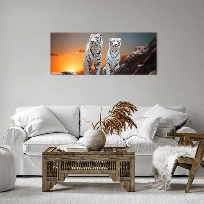 Panorama Bilder auf Leinwand 100x40cm Leinwandbild Tiger weiss Rock Sonnenuntergang Gross Wanddeko B