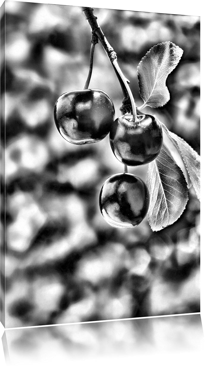 Monocrome, Kirsche, Format: 100x70 auf Leinwand, XXL riesige Bilder fertig gerahmt mit Keilrahmen, K