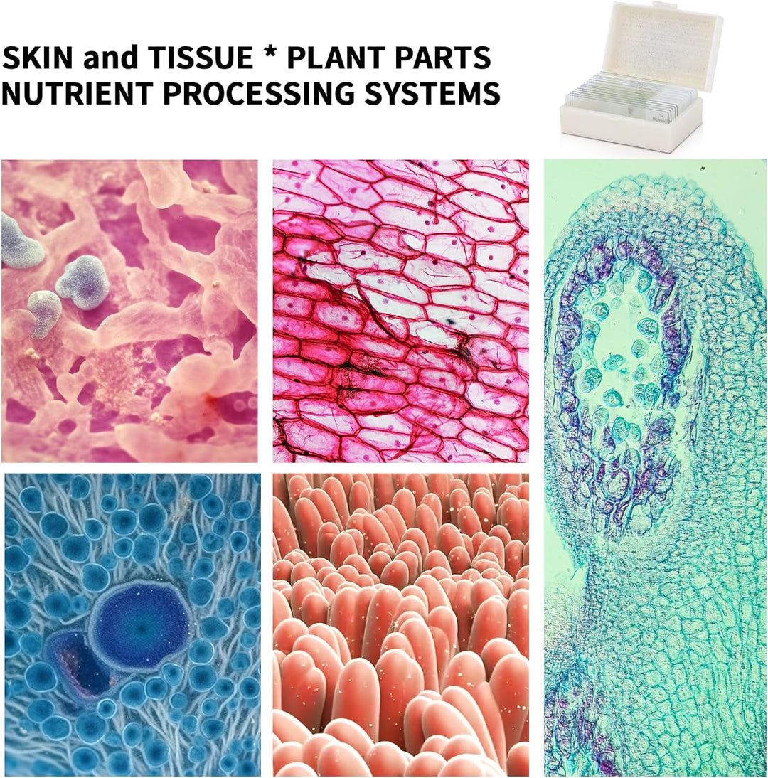 USCAMEL 40-1000-fache Vergrösserung LED Binokular Verbundmikroskop Professionelles Verbundmikroskop