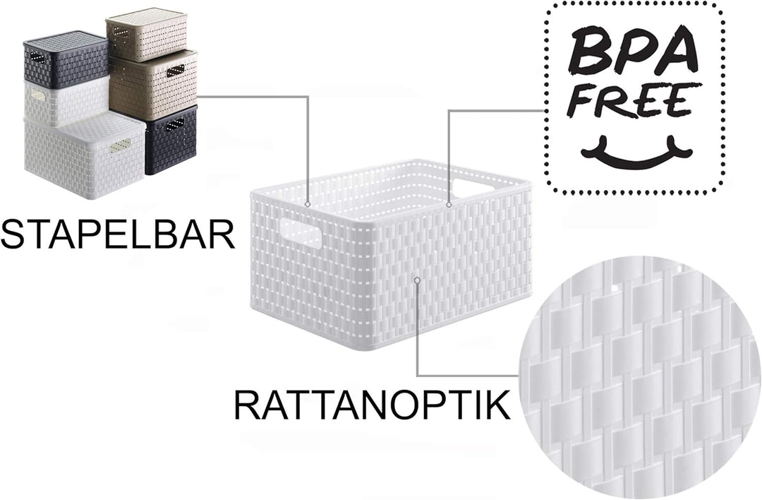 Rotho Country 3er-Set Aufbewahrungsbox Rattan-Optik, Kunststoff (PP) BPA-frei, Weiss, 3 x A4+/28l, (