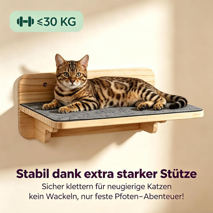 Katzentreppe Wand Holz 4er-Set Kletterwand frei Kombinierbar | Katzen Wandelemente inkl. 1 Plattform