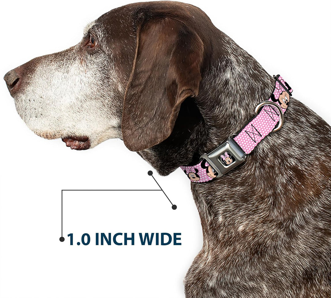 Buckle-Down Seatbelt Buckle Dog Collar - Minnie Mouse Expressions Polka Dot Pink/White - 1" Wide - F