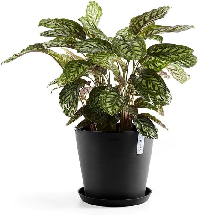 Ecopots Untersetzer für Blumentopf Amsterdam Dunkel Grau - Durchmesser Ø Aussen 36 cm/Innen 33 cm ru