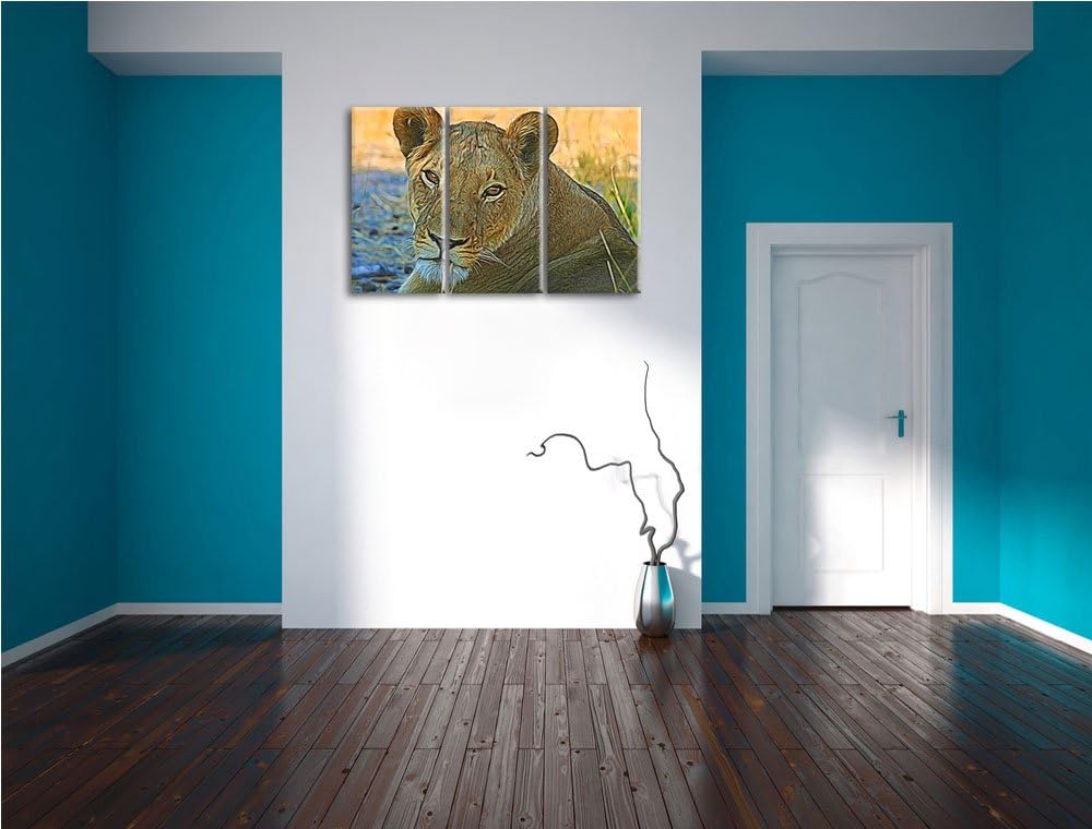 schöne Löwin im Wildgras NewArt 3-Teiler Leinwandbild 120x80 Bild auf Leinwand, XXL riesige Bilder f