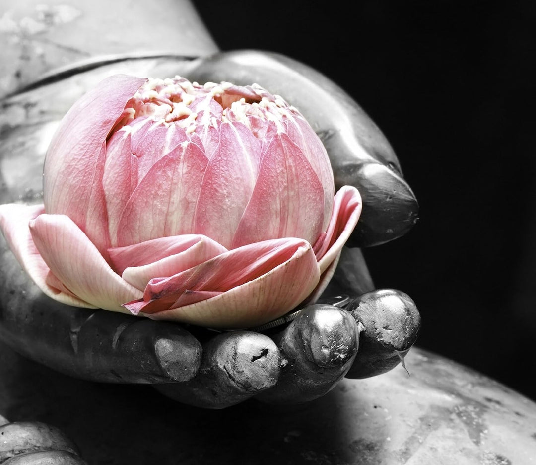 Lotus in einer Hand eines Buddhas Herdabdeckplatte & Spritzschutz aus Echtglas | Für Herd-Kochfelder