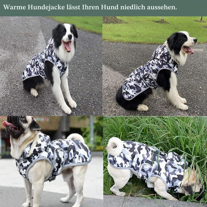 Winter Hundejacke with Abnehmbarem Hut, Hundemantel Wasserdicht Reflektierend Hund Mantel Warme Hood