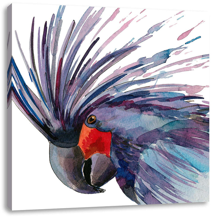 Exotischer Vogel Kunst, Format: 70x70 auf Leinwand, XXL riesige Bilder fertig gerahmt mit Keilrahmen