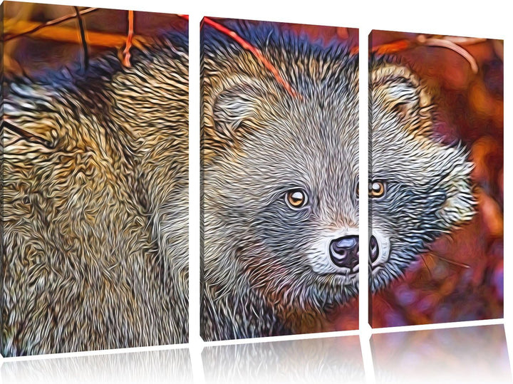 scheuer Waschbär Spezial 3-Teiler Leinwandbild 120x80 Bild auf Leinwand, XXL riesige Bilder fertig g