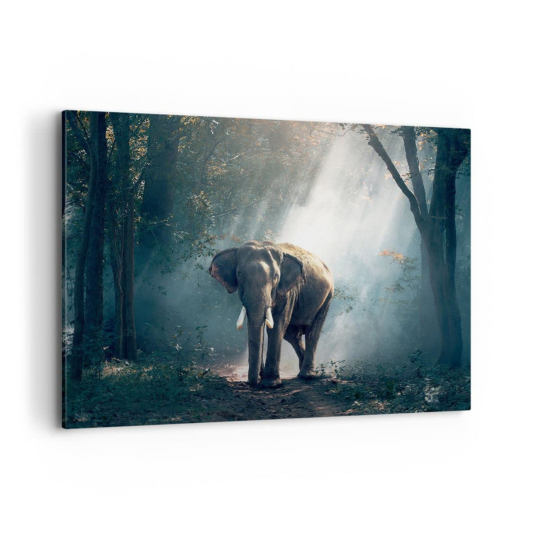 Bilder auf Leinwand 100x70cm Leinwandbild mit Rahmen elefant natur Gross Wanddeko Bild Schlafzimmer