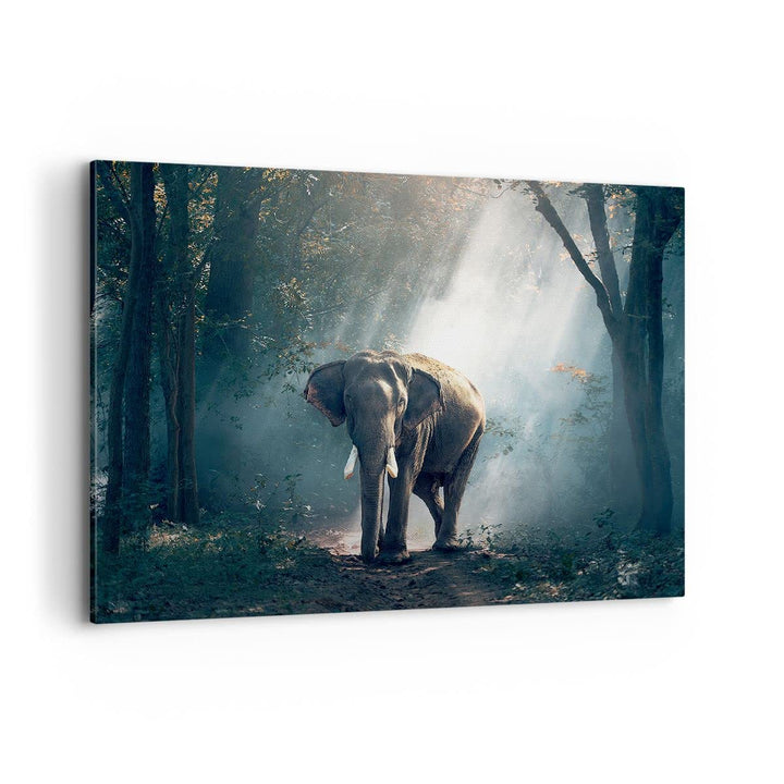 Bilder auf Leinwand 100x70cm Leinwandbild mit Rahmen elefant natur Gross Wanddeko Bild Schlafzimmer