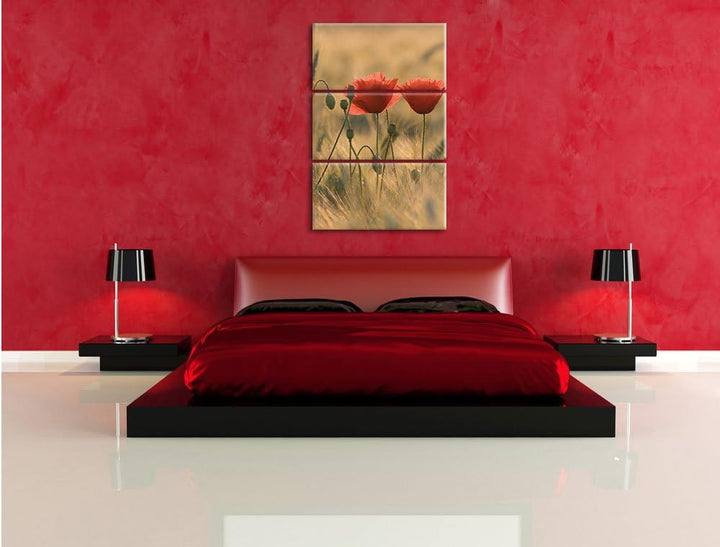 Pixxprint Zwei schöne Mohnblumen 3-Teiler Leinwandbild 120x80 Bild auf Leinwand