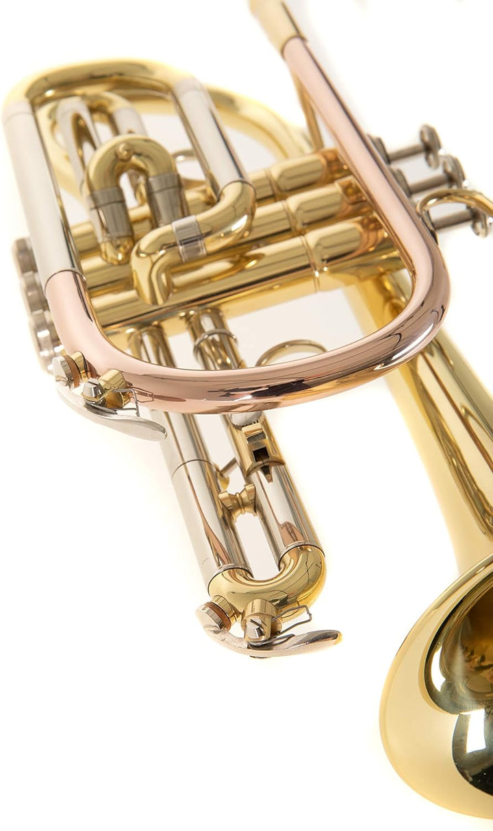 Roy Benson Bb Kornett MOD.CR-202 lackiert, inkl. Etui, gold, CR-202