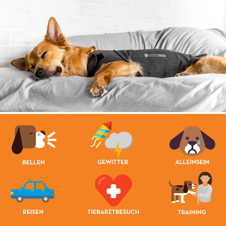 Thundershirt: Beruhigungsweste für Hunde - Grau - Grösse S S Nur Jacke, S Nur Jacke