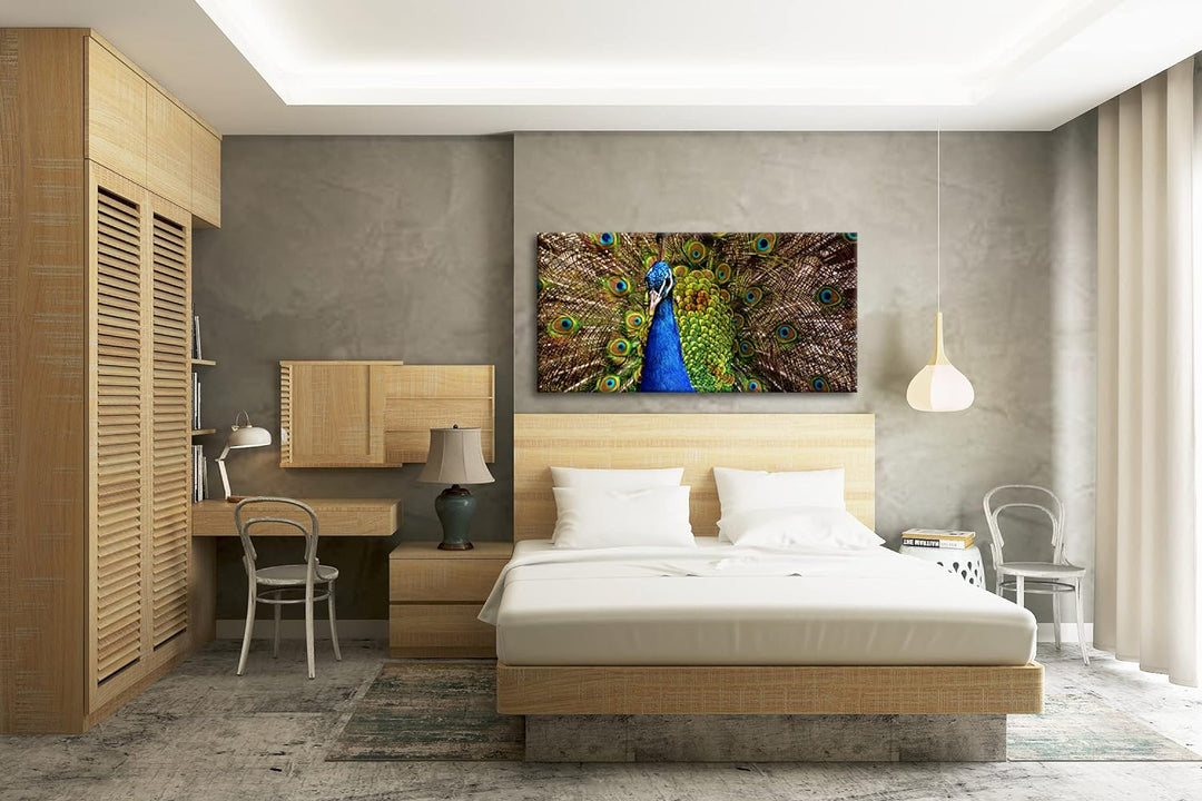 himmlisches Pfau Gefieder Panorama 80x40 cm als Leinwandbild, Motiv fertig gerahmt auf Echtholzrahme