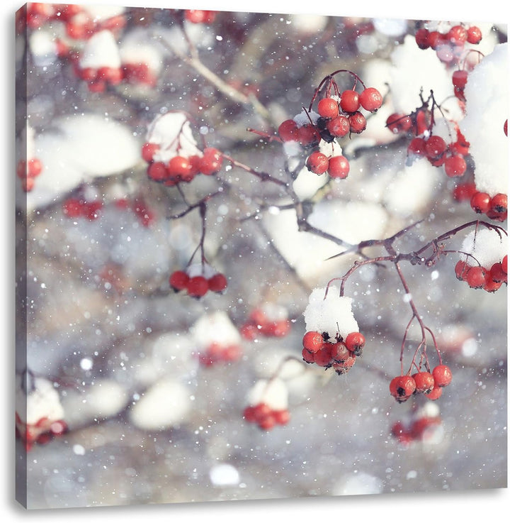 Pixxprint Vogelbeeren mit Schnee bedeckt, Format: 70x70 auf Leinwand, 70x70