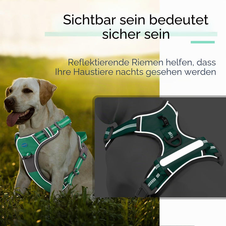 ThinkPet Anti-Zug Hundegeschirr Mit Griff - Leicht Zu Kontrollieren, Verstellbar Ohne Würgen, Reflek